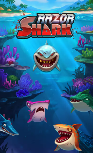 Vox Casino Razor Shark – slot online z tajemniczymi symbolami
